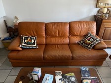 Deux canapés cuir couleur